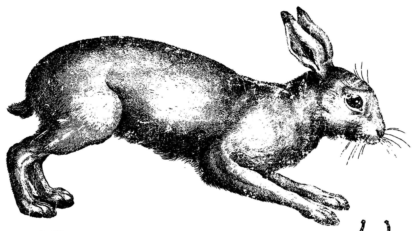 IOD Farm Animals Stamp