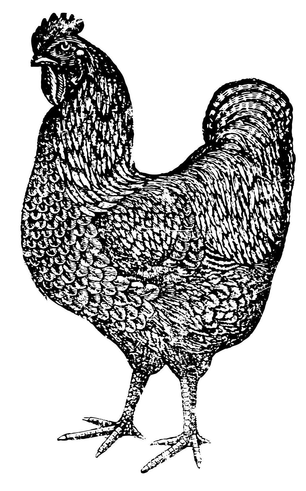 IOD Farm Animals Stamp