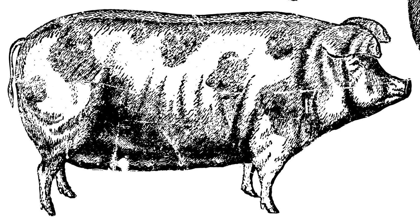 IOD Farm Animals Stamp