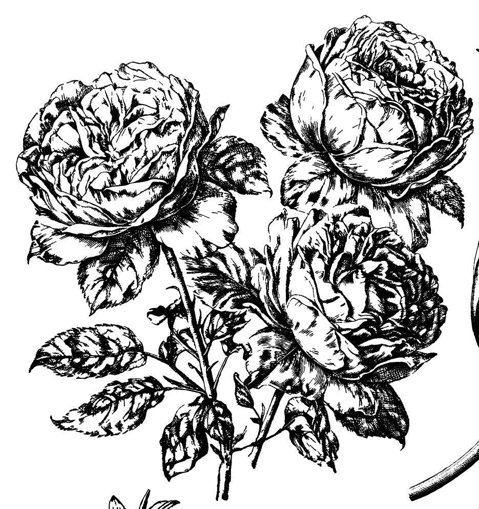 IOD Garden Bouquet Stamp