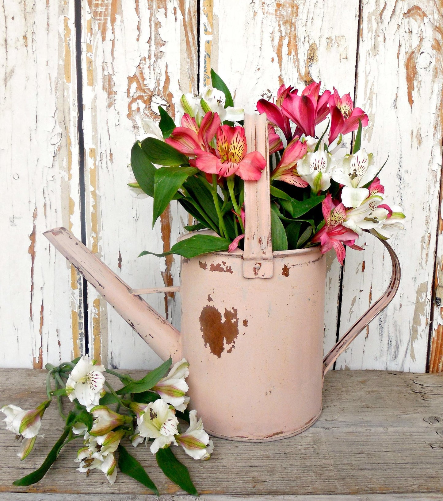 Sweet Pickins Milk Paint - Tickled Pink