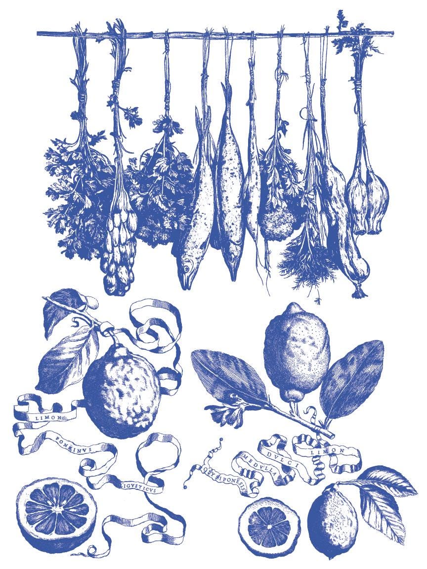 Portofino IOD Paint Inlay by Iron Orchid Design - Limited Release