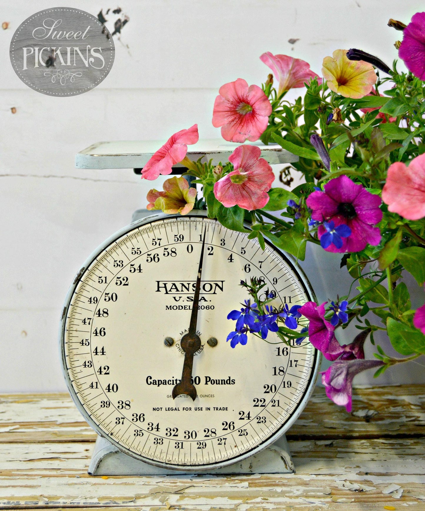 Sweet Pickins Milk Paint - Bluebird