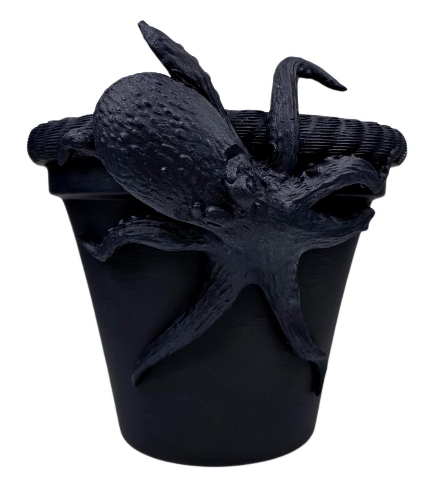Night Sky Paint Couture Chalk Paint