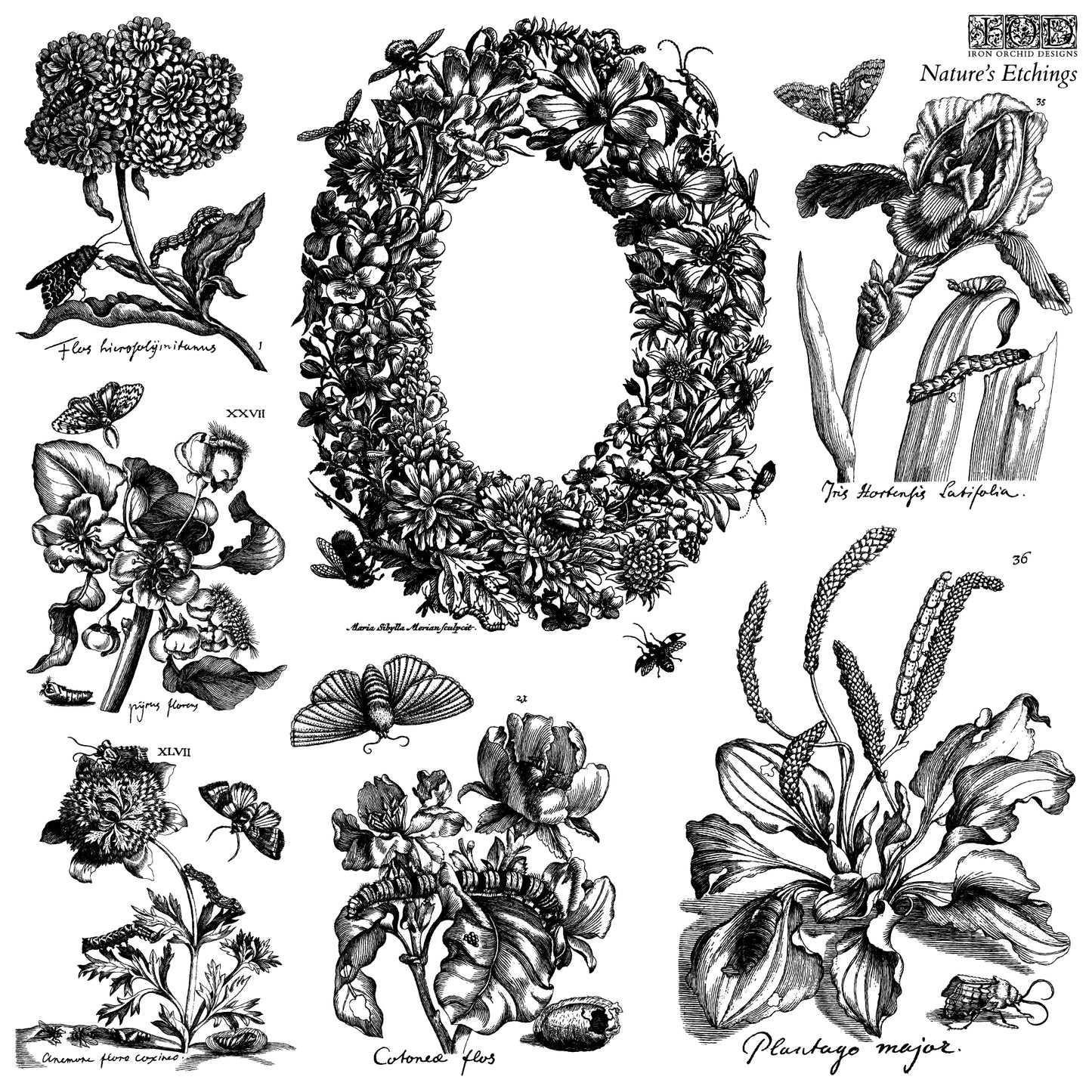 IOD 2026 Summer Release Stamp Bundle