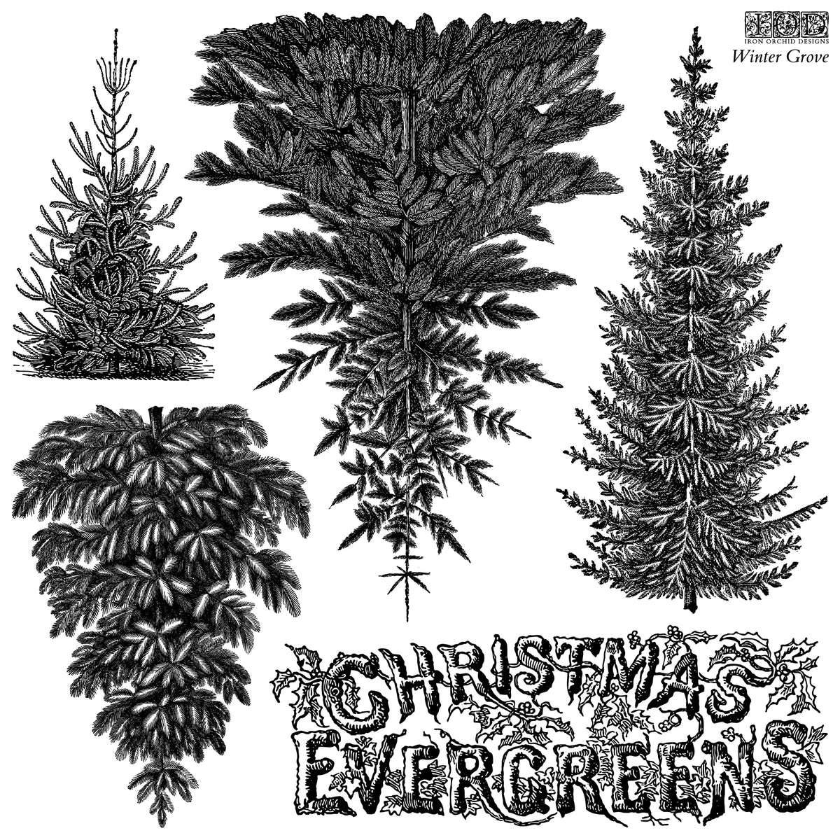 IOD Winter Grove Stamp • Iron Orchid Designs • 12×12 Evergreen Forest & Vintage Botanical Tree Stamp with Masks • Ships in 1–2 Days