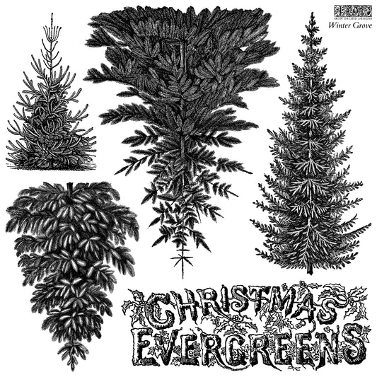 IOD Winter Grove Stamp • Iron Orchid Designs • 12×12 Evergreen Forest & Vintage Botanical Tree Stamp with Masks • Ships in 1–2 Days