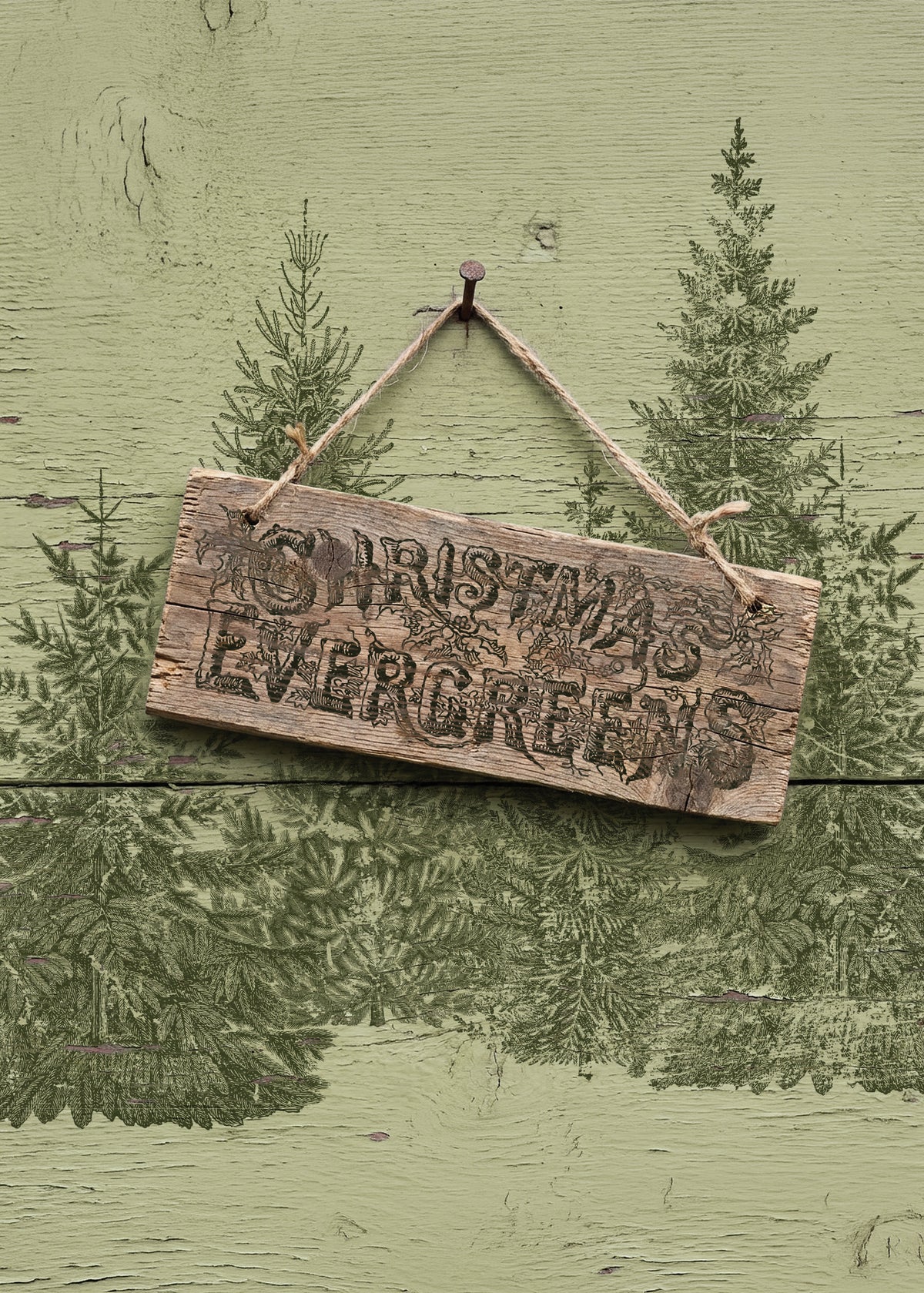 IOD Winter Grove Stamp • Iron Orchid Designs • 12×12 Evergreen Forest & Vintage Botanical Tree Stamp with Masks • Ships in 1–2 Days
