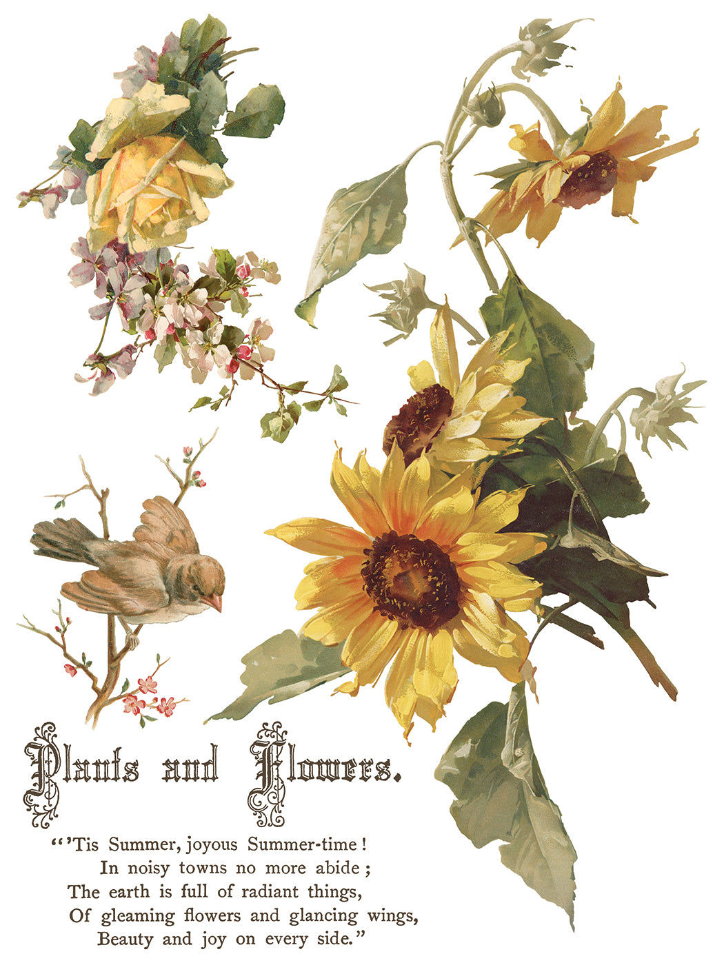 IOD Flowers by the Poets Transfer Pad with (8) 12 X 16