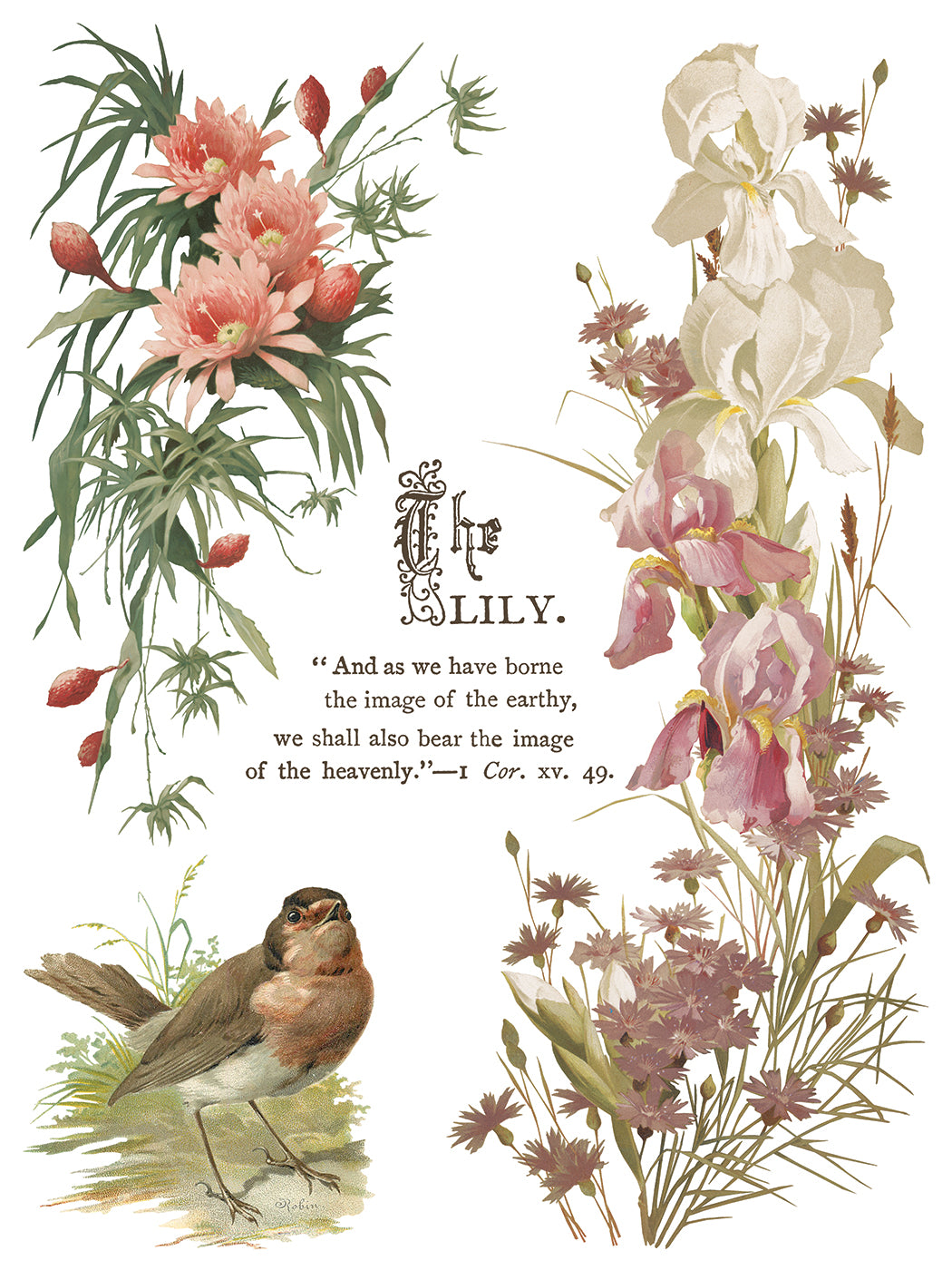 IOD Flowers by the Poets Transfer Pad with (8) 12 X 16