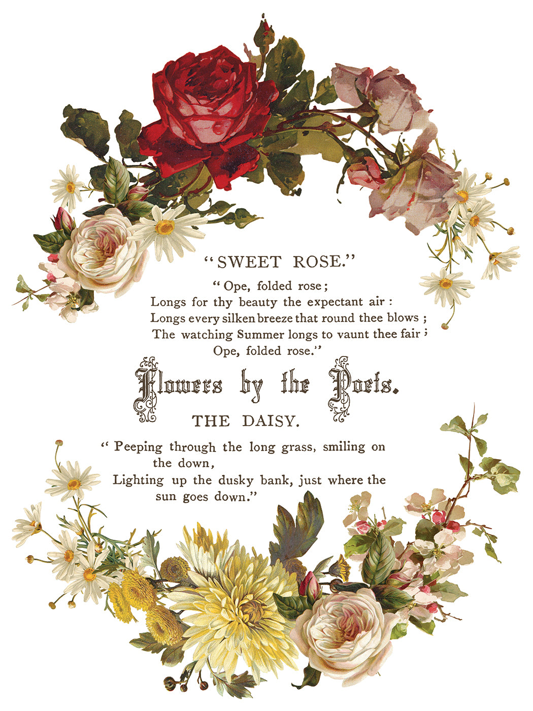 IOD Flowers by the Poets Transfer Pad with (8) 12 X 16