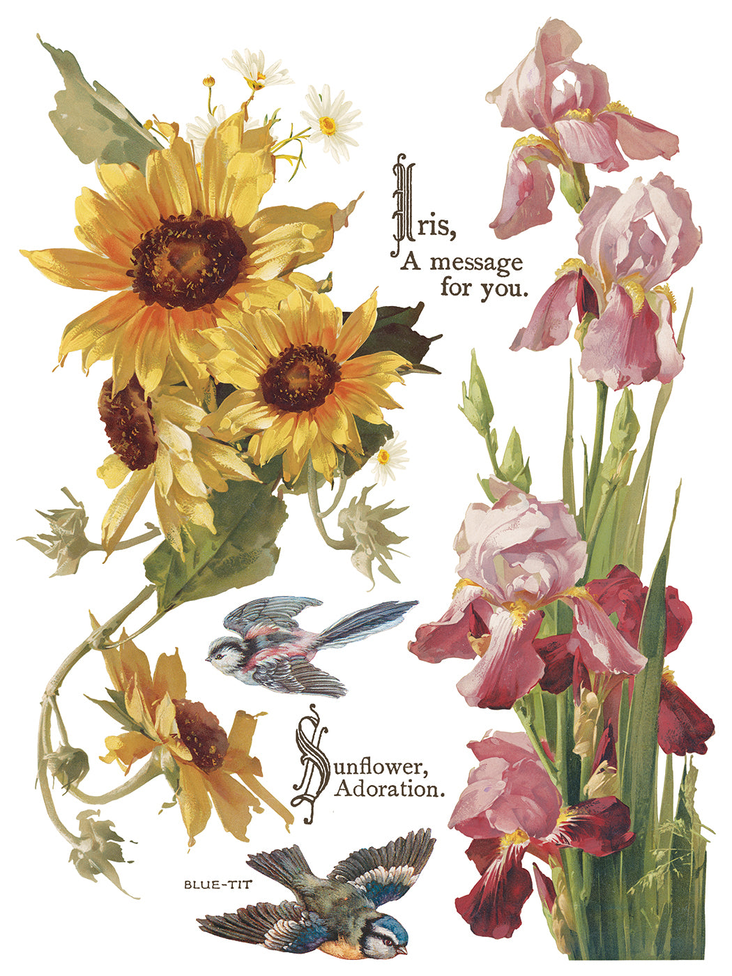 IOD Flowers by the Poets Transfer Pad with (8) 12 X 16
