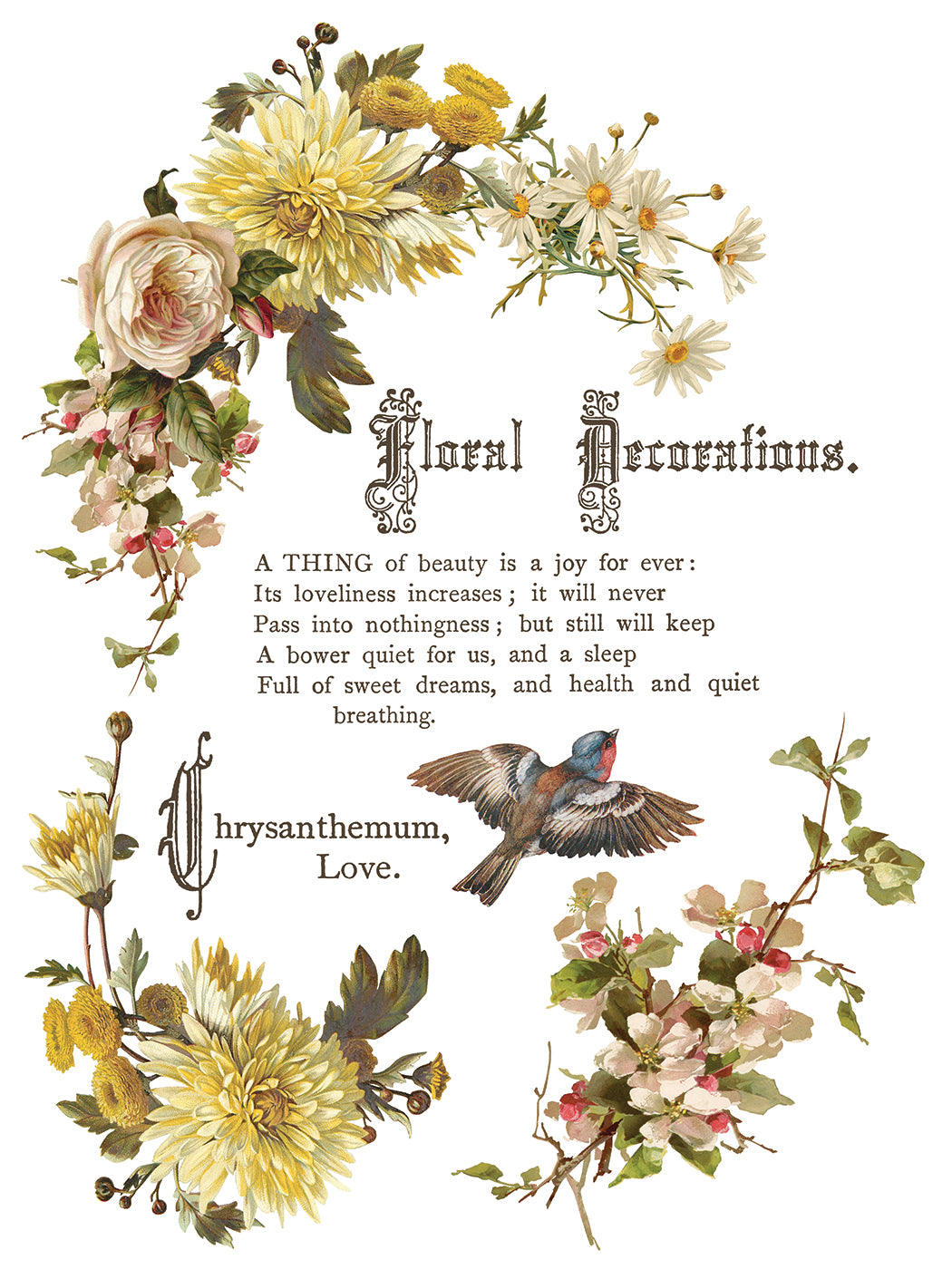 IOD Flowers by the Poets Transfer Pad with (8) 12 X 16