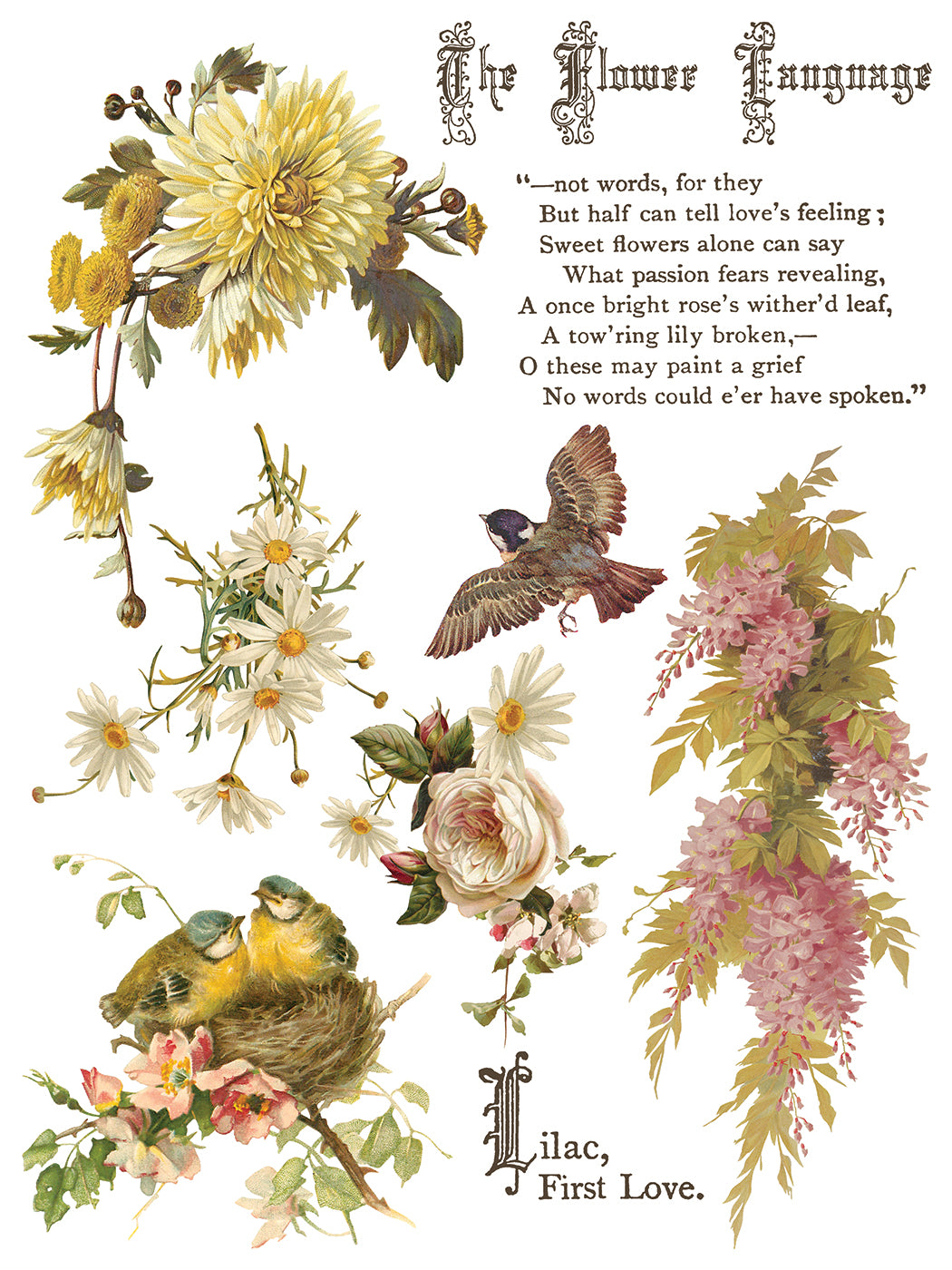 IOD Flowers by the Poets Transfer Pad with (8) 12 X 16