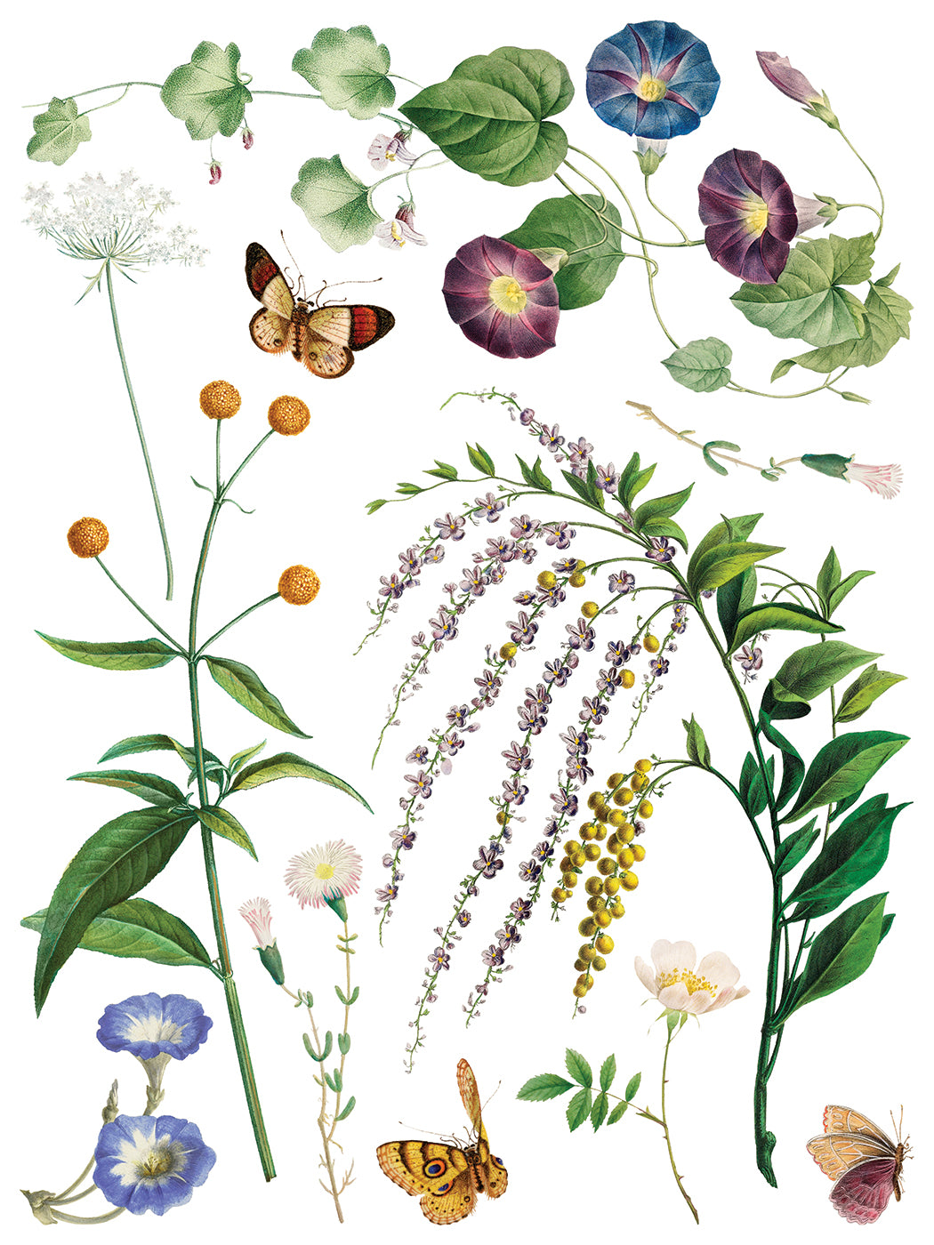 IOD Marché des Fleurs Transfer Pad with (8) 12 X 16 Sheets
