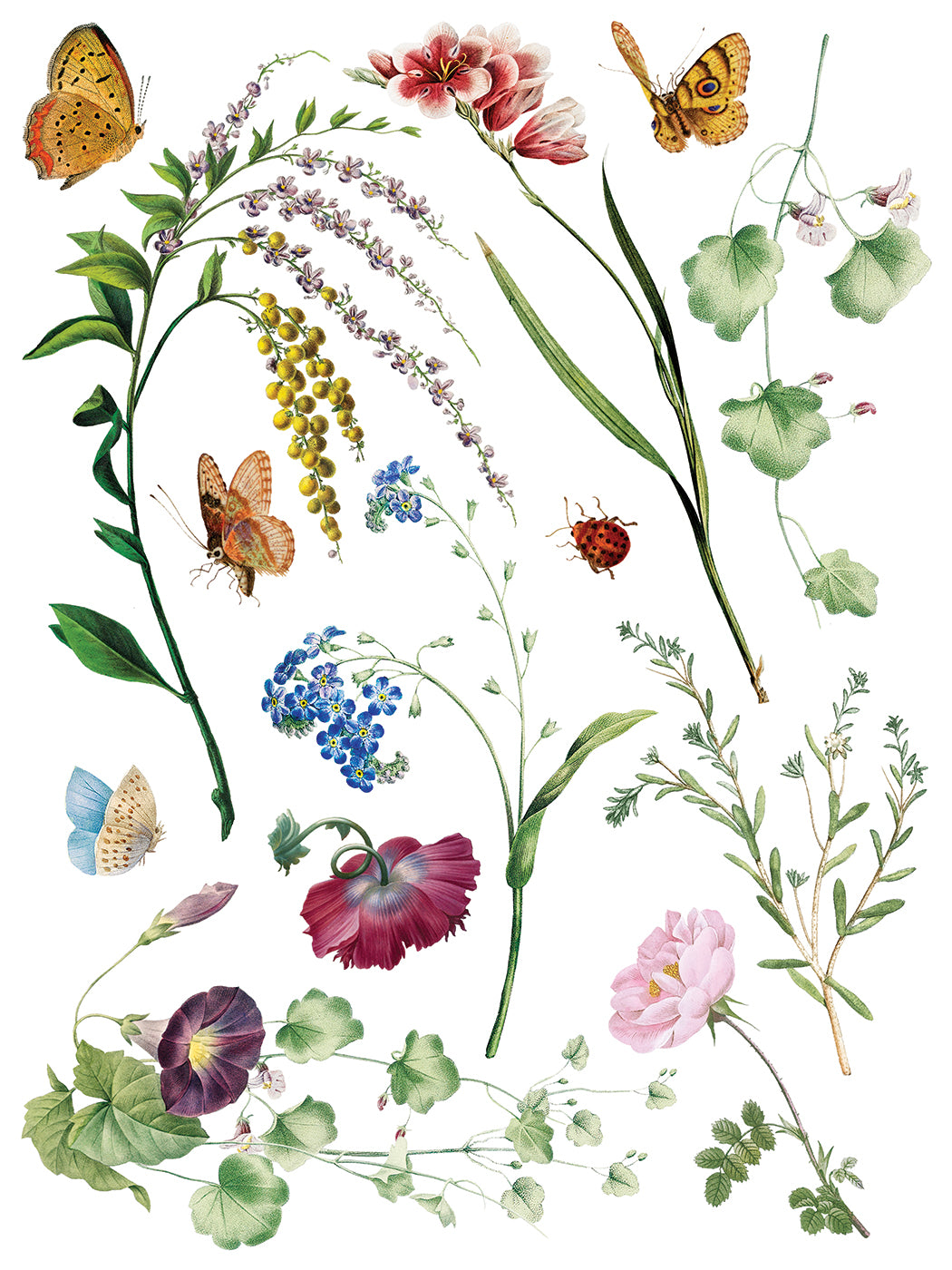 IOD Marché des Fleurs Transfer Pad with (8) 12 X 16 Sheets