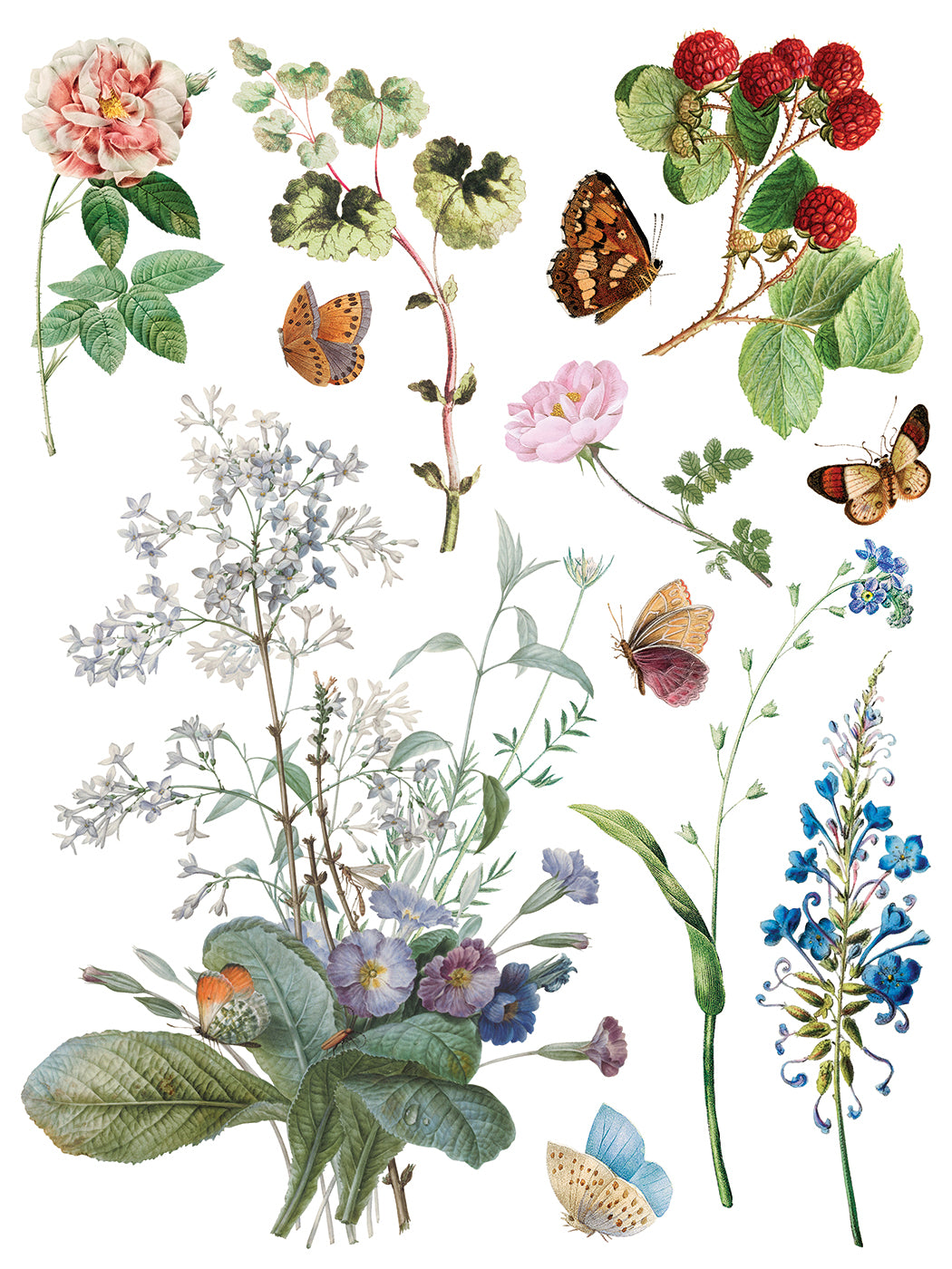 IOD Marché des Fleurs Transfer Pad with (8) 12 X 16 Sheets
