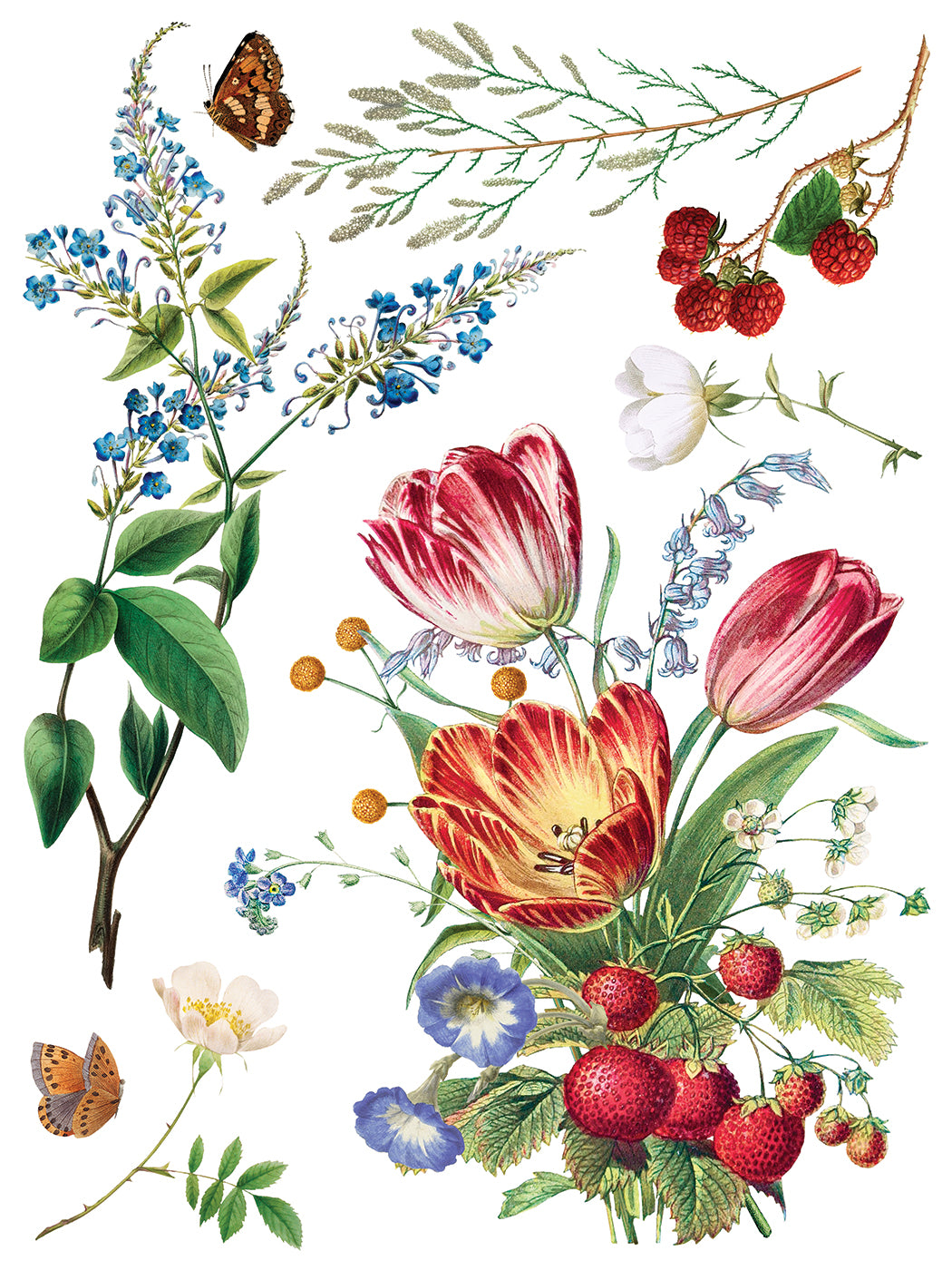 IOD Marché des Fleurs Transfer Pad with (8) 12 X 16 Sheets