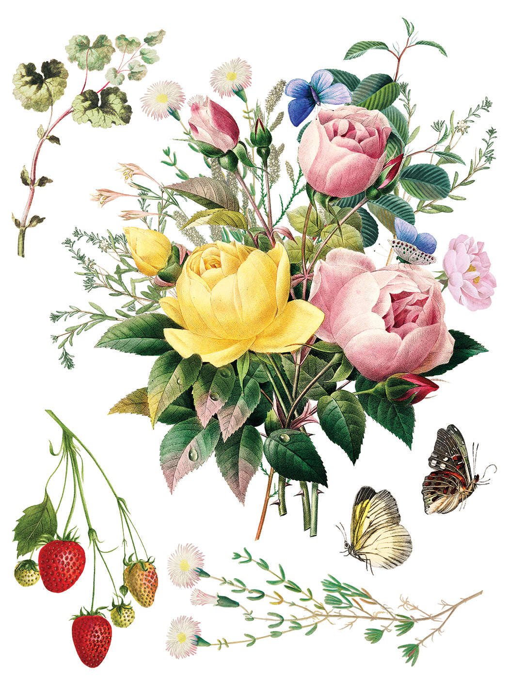 IOD Marché des Fleurs Transfer Pad with (8) 12 X 16 Sheets