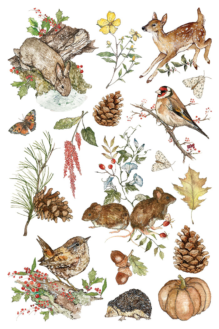IOD The Bramblewood Diaries Transfer • Iron Orchid Designs • 8×12 Woodland Animals & Seasonal Botanical Wreaths • Ships in 1–2 Days