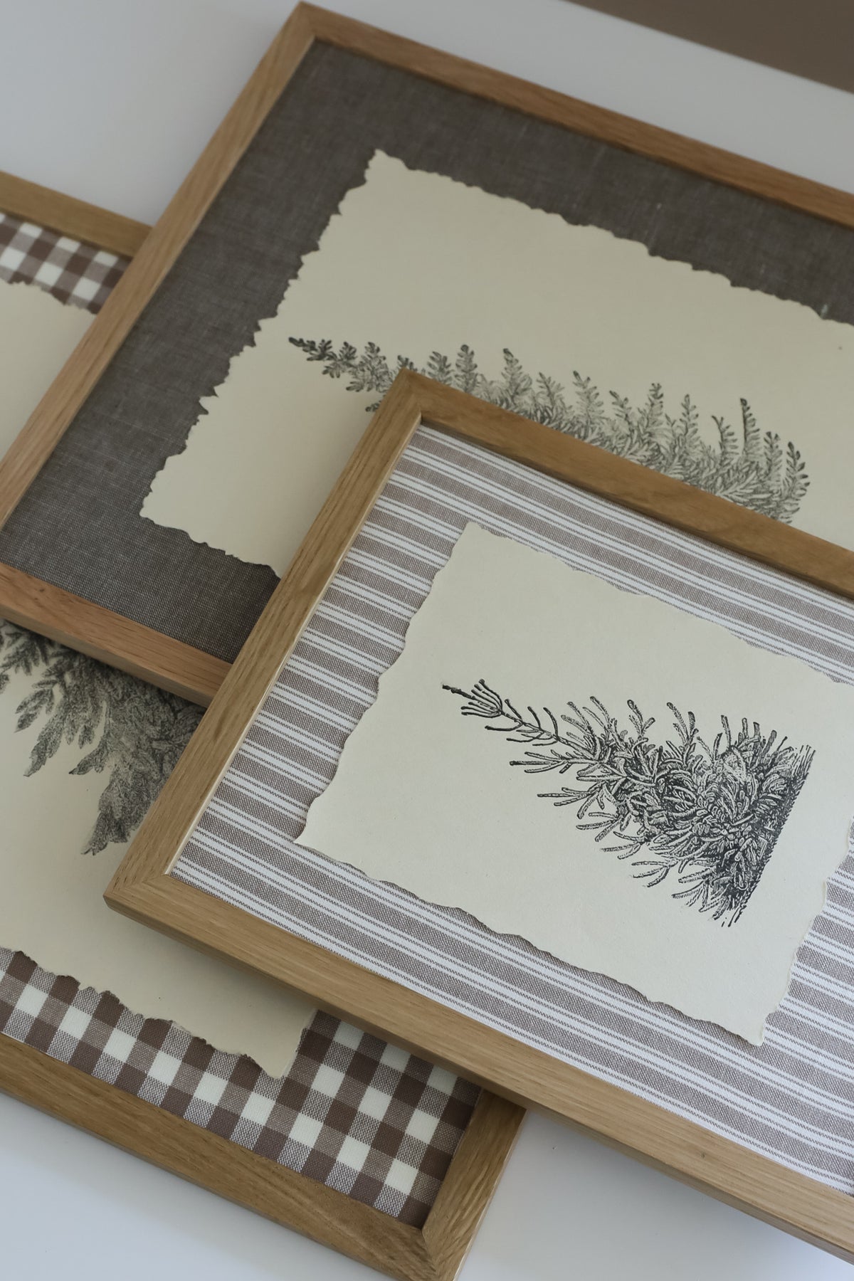 IOD Winter Grove Stamp • Iron Orchid Designs • 12×12 Evergreen Forest & Vintage Botanical Tree Stamp with Masks • Ships in 1–2 Days