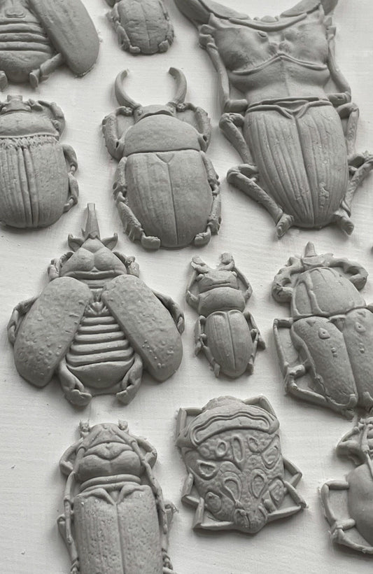 IOD Specimen 6x10 Decor Mould, Moulds Use With Clay or Resin Crafts Signs Sugar Arts Furniture Fall Decor, Specimen Mold