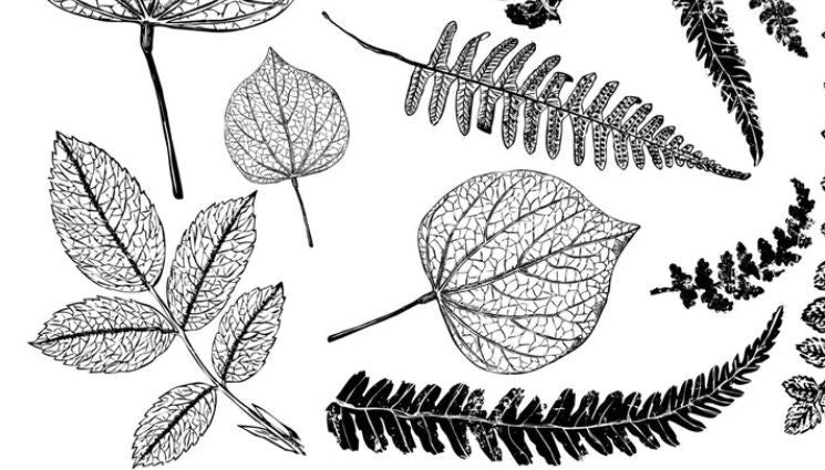 IOD Fronds Stamp