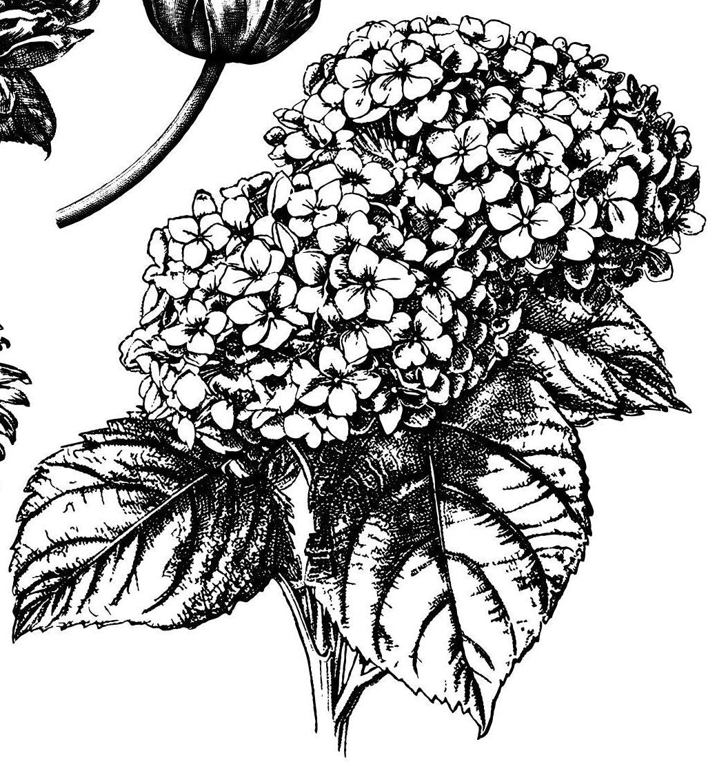 IOD Garden Bouquet Stamp