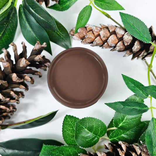 Pinecone Paint Couture Chalk Paint