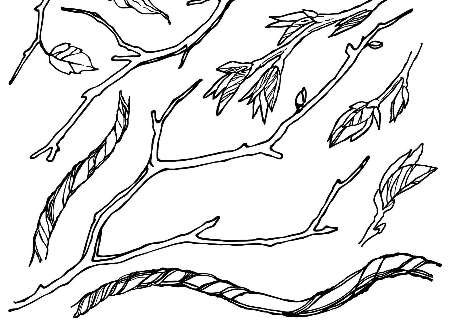 IOD Branches and Vines Stamp