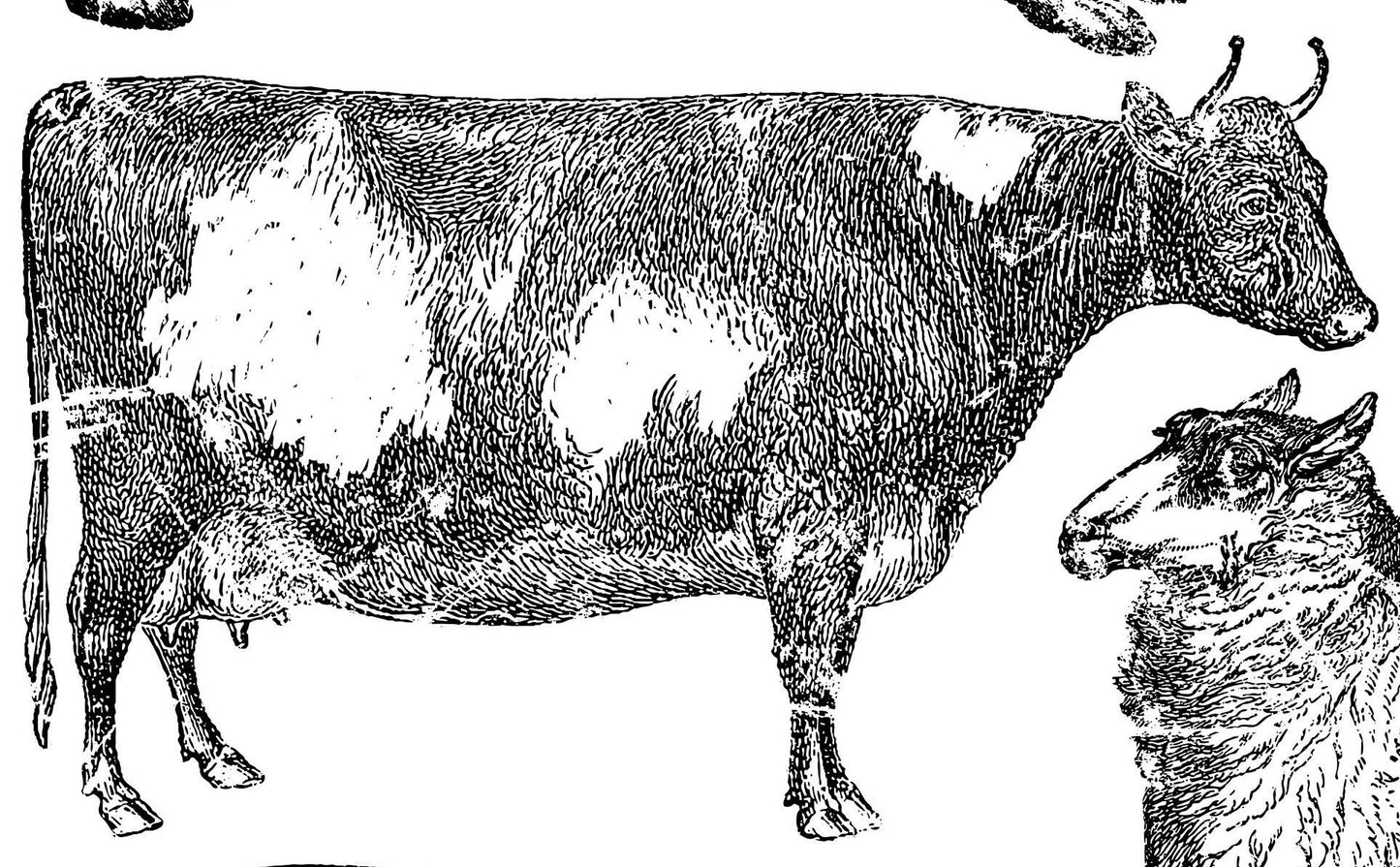 IOD Farm Animals Stamp