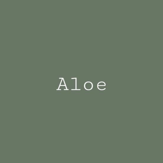 Aloe Green- Melange ONE Mineral Paint
