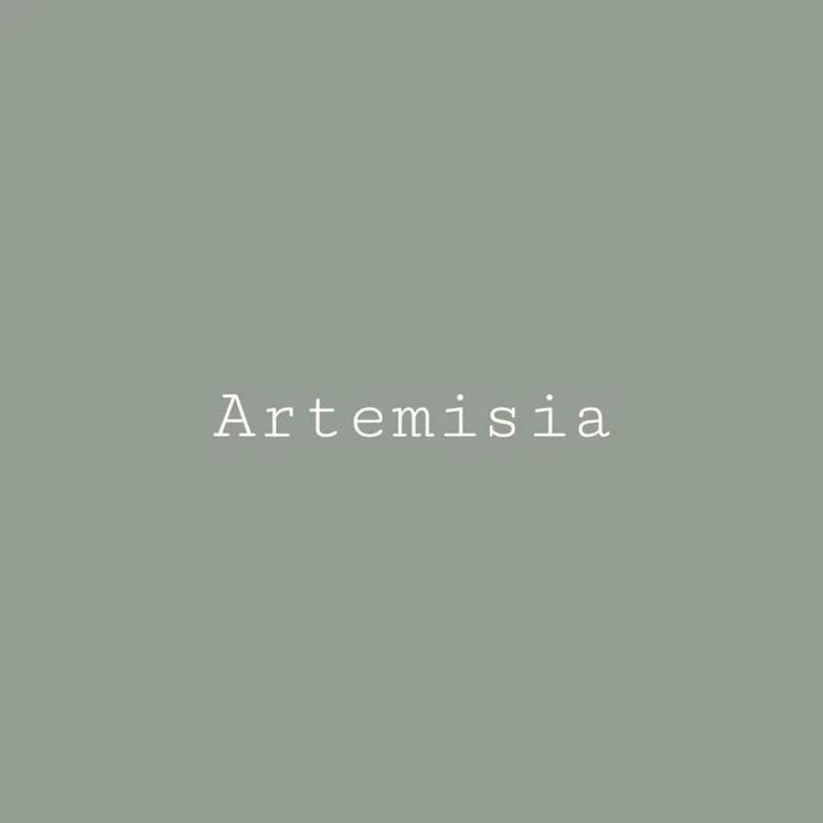 Artemisia Green- Melange ONE Mineral Paint