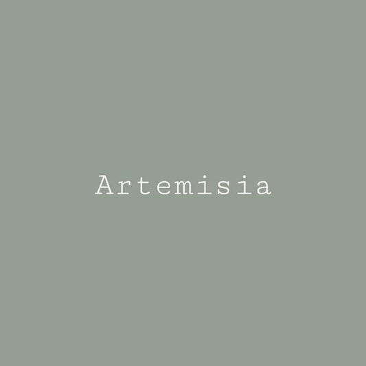 Artemisia Green- Melange ONE Mineral Paint