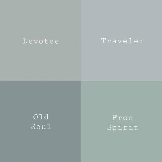 Devotee Blue- Melange ONE Mineral Paint