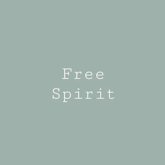 Free Spirit Blue- Melange ONE Mineral Paint