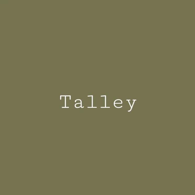 Talley Green- Melange ONE Mineral Paint