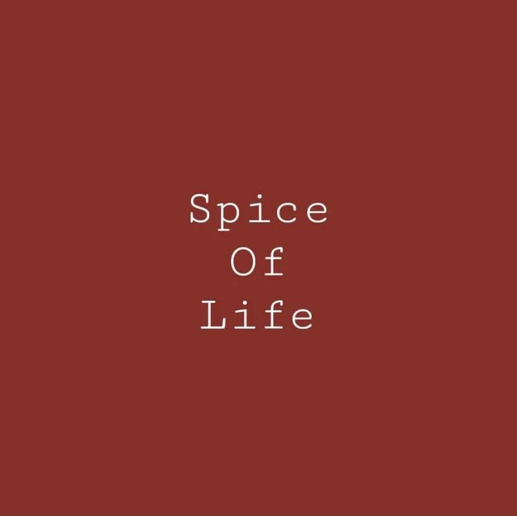 Spice of Life- Melange ONE Mineral Paint