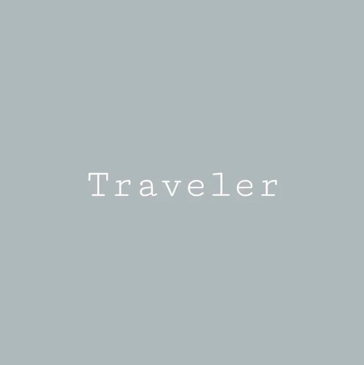 Traveler Blue- Melange ONE Mineral Paint