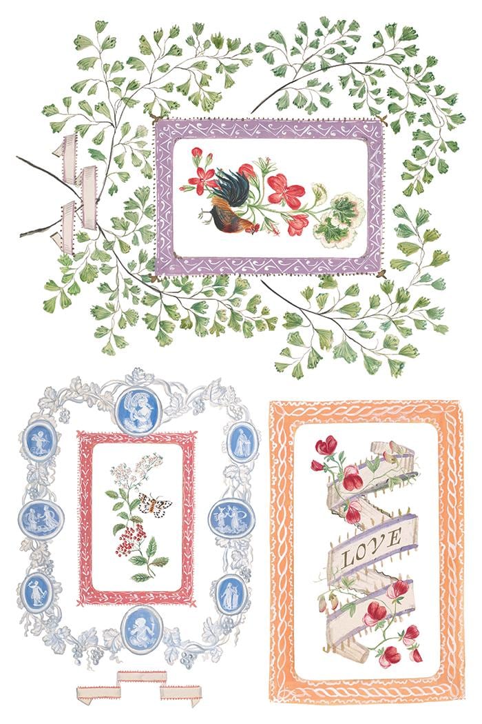 2026 IOD NEW Emily Claire Transfer Pad with (8) 8 x 12 Sheets, Iron Orchid Designs Rub-On Furniture Transfer Decal Botanicals