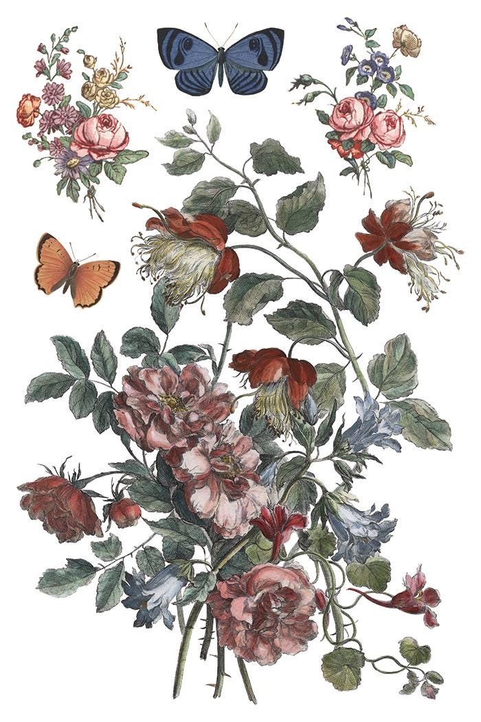 2026 IOD NEW Saint Ouen Transfer Pad with (8) 8 x 12 Sheets, Iron Orchid Designs Rub-On Furniture Transfer Decal Botanicals