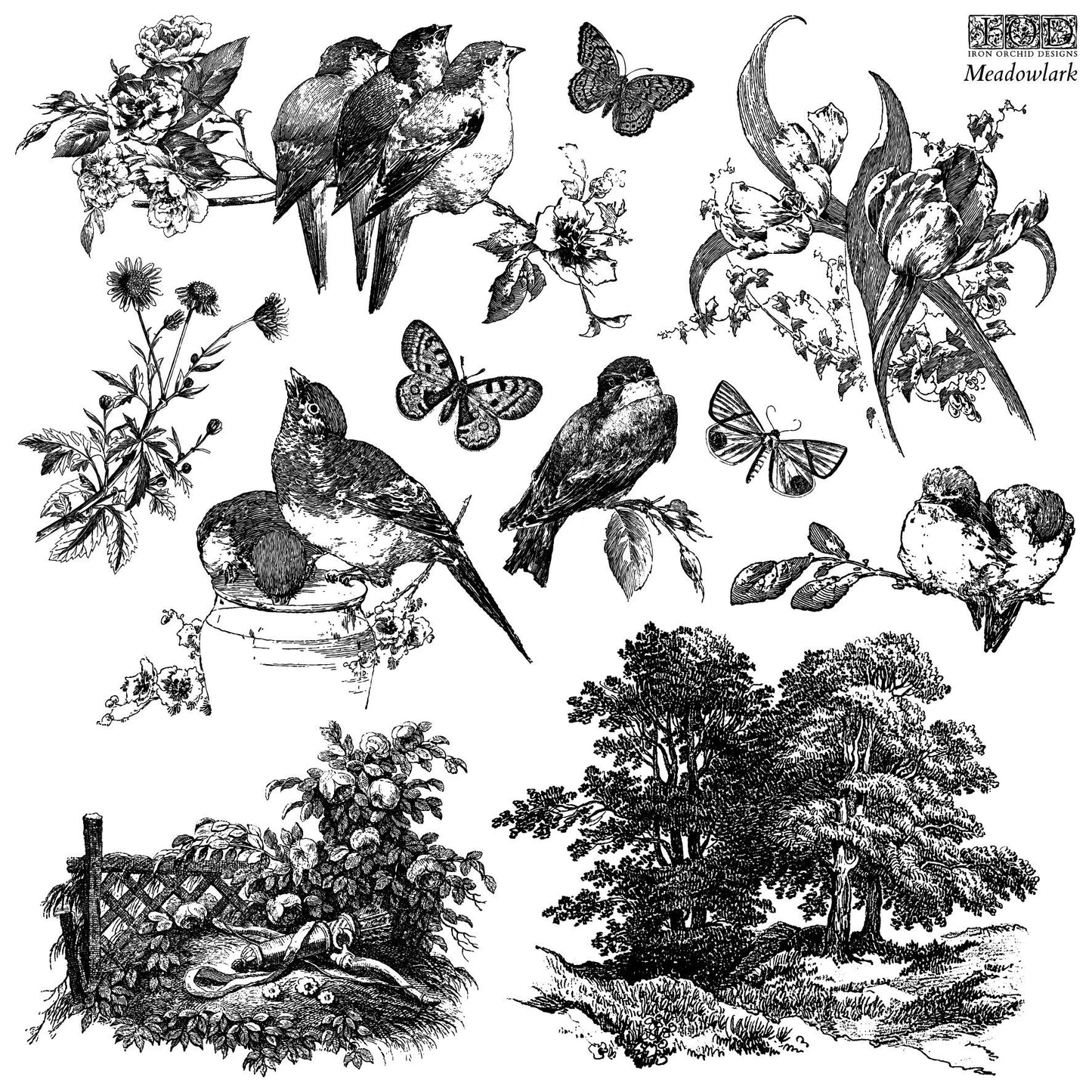 2026 IOD NEW Meadowlark Stamp, Iron Orchid Design, Spring Release, Ships same day or next!