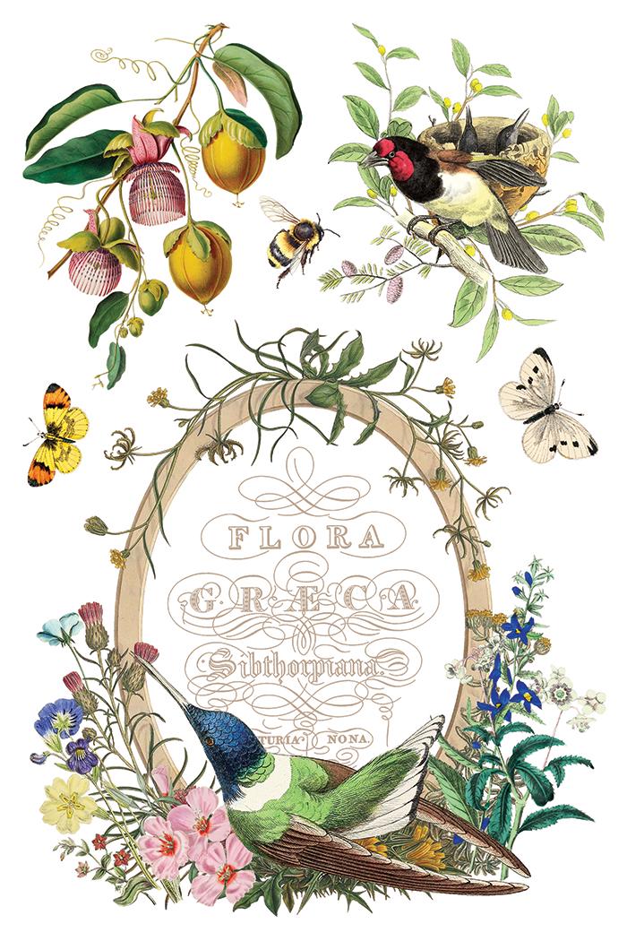 2026 IOD NEW Flora Greca Transfer Pad with (8) 8 x 12 Sheets, Iron Orchid Designs Rub-On Furniture Transfer Decal Botanicals